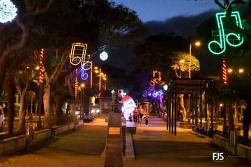 : Telde se enciende de Navidad/FJS Fotografía.